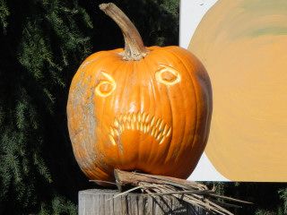Piranha, Nipomo Pumpkin Patch best carving idea